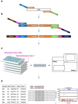 Development of a Panel of Genotyping-in-Thousands by Sequencing in Capsicum